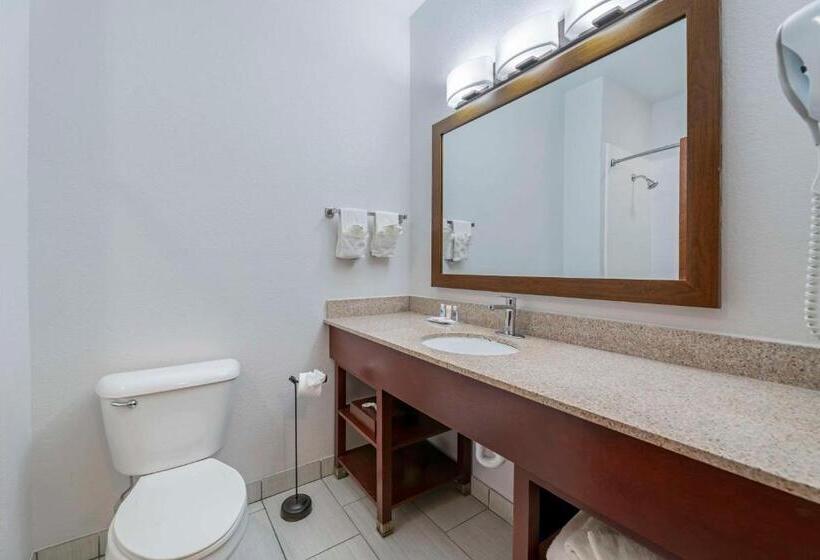 Люкс Кровать Кинг, Comfort Suites Lake Geneva East