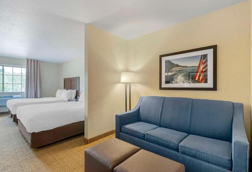 Люкс, Comfort Suites Lake Geneva East