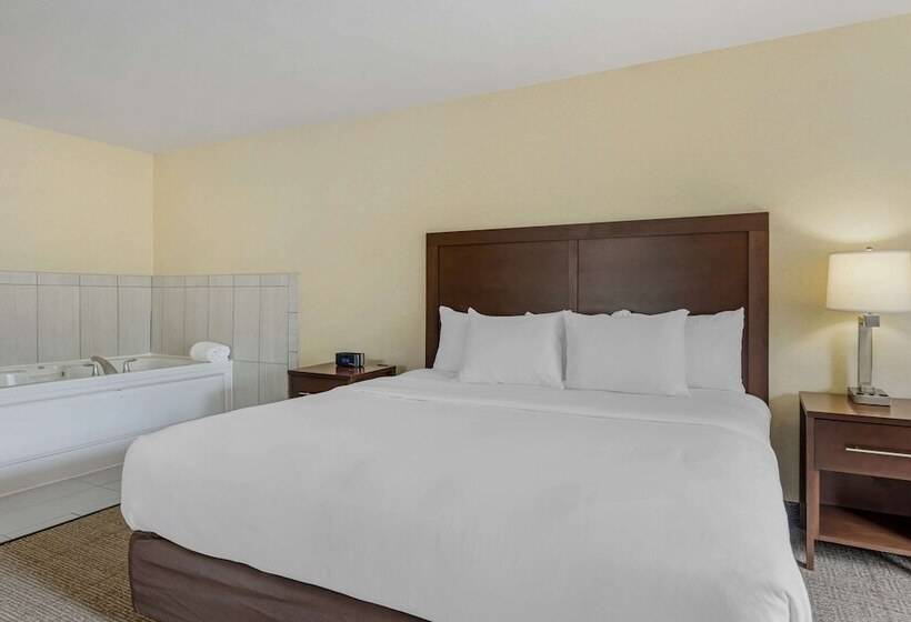 Люкс Адаптированный для Инвалидов, Comfort Suites Lake Geneva East