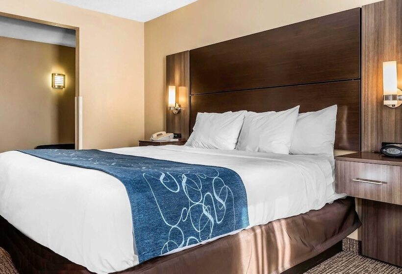 Люкс, Comfort Suites Miamisburg   Dayton South