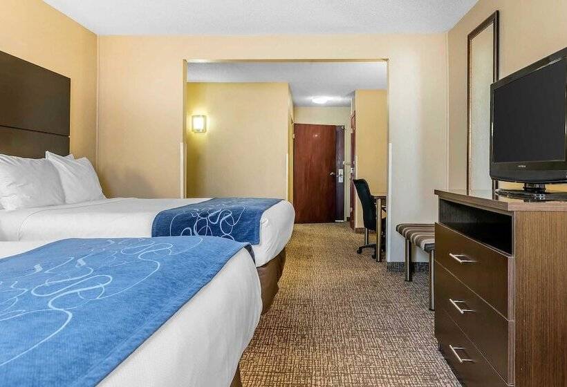 Люкс, Comfort Suites Miamisburg   Dayton South