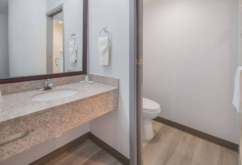 Номер Стандарт 2 Двуспальные Кровати, Quality Inn & Suites Richardsondallas