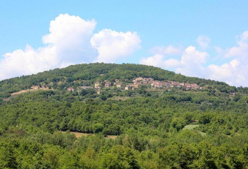 Апартаменты Пентхаус 1 Спальня, Agriturismo La Via Dell Oliviera