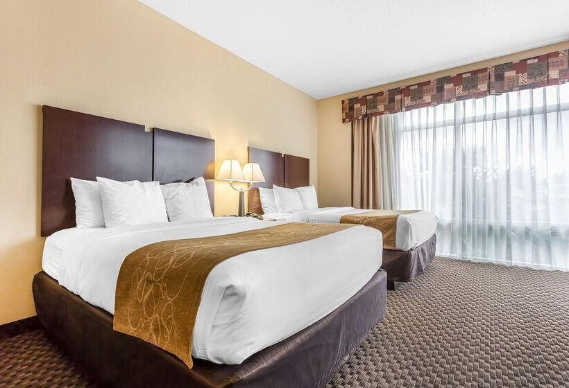 套房, Comfort Suites Charleston West Ashley