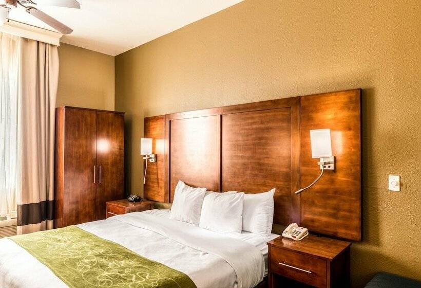 套房, Comfort Suites South