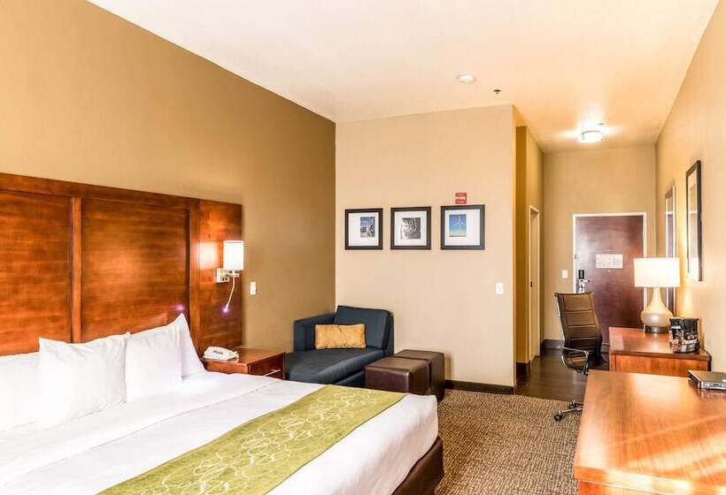套房, Comfort Suites South