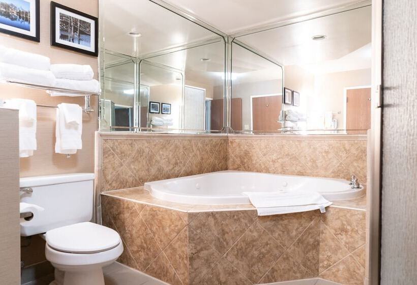 سوییت, Comfort Suites