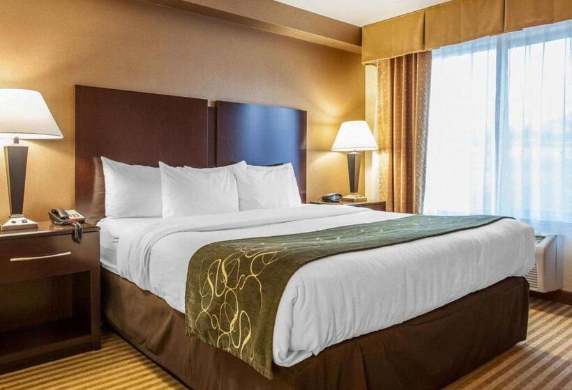 身障者適用スイートルーム, Comfort Suites Wenatchee Gateway