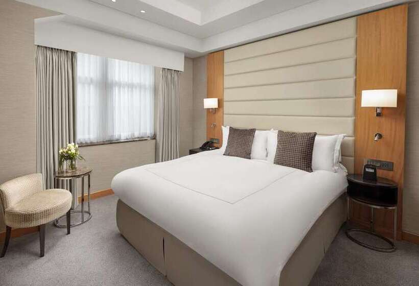 带大床的豪华间, Hilton The Hague