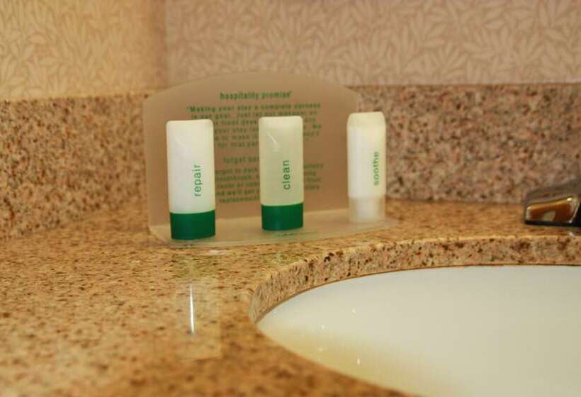 스탠다드 룸, Holiday Inn Daytona Beach Lpga Boulevard, An Ihg