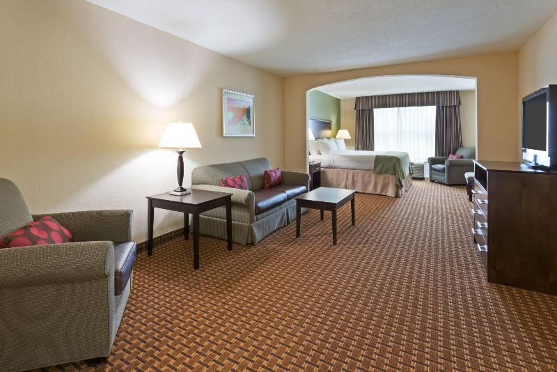 스위트 킹사이즈 침대, Holiday Inn Daytona Beach Lpga Boulevard, An Ihg