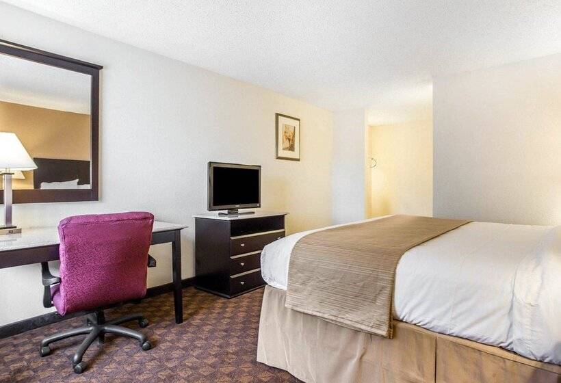 Номер Стандарт 2 Двуспальные Кровати, Quality Inn & Suites Coliseum