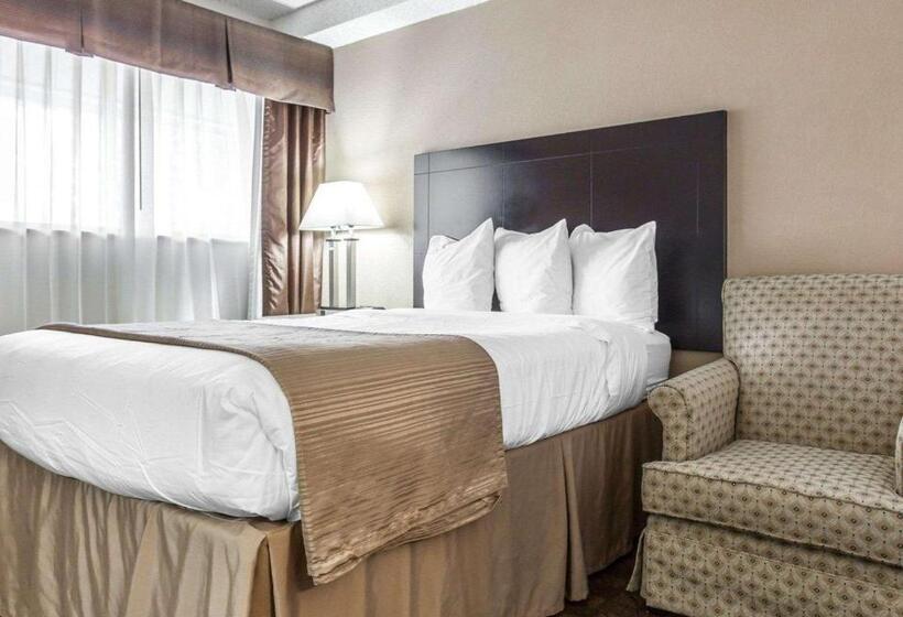 Номер Стандарт, Quality Inn & Suites Coliseum