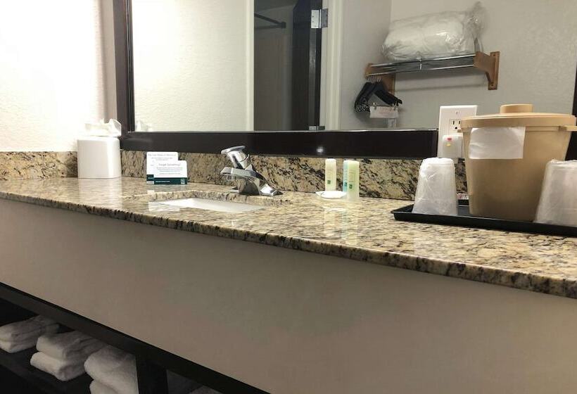 סוויטה, Quality Inn & Suites Denver International Airport