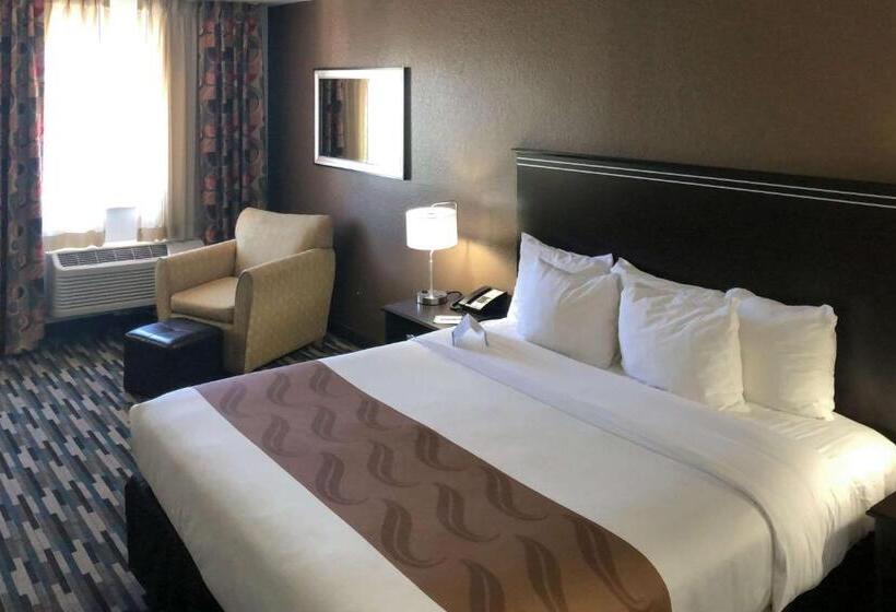 חדר סטנדרט עם מיטת קינג, Quality Inn & Suites Denver International Airport