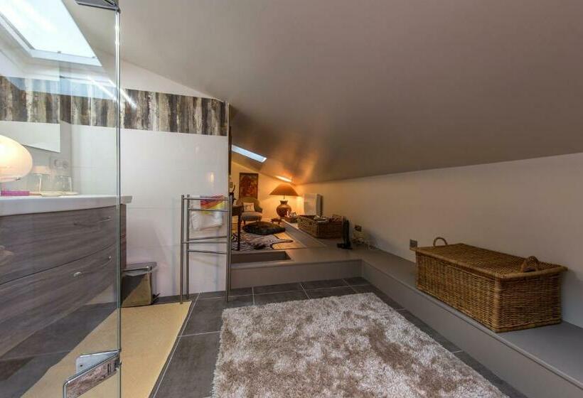 غرفة قياسية, Room In Guest Room   This 10th Century Home Sits In An Extraordinary Setting In The Center Of Orlean