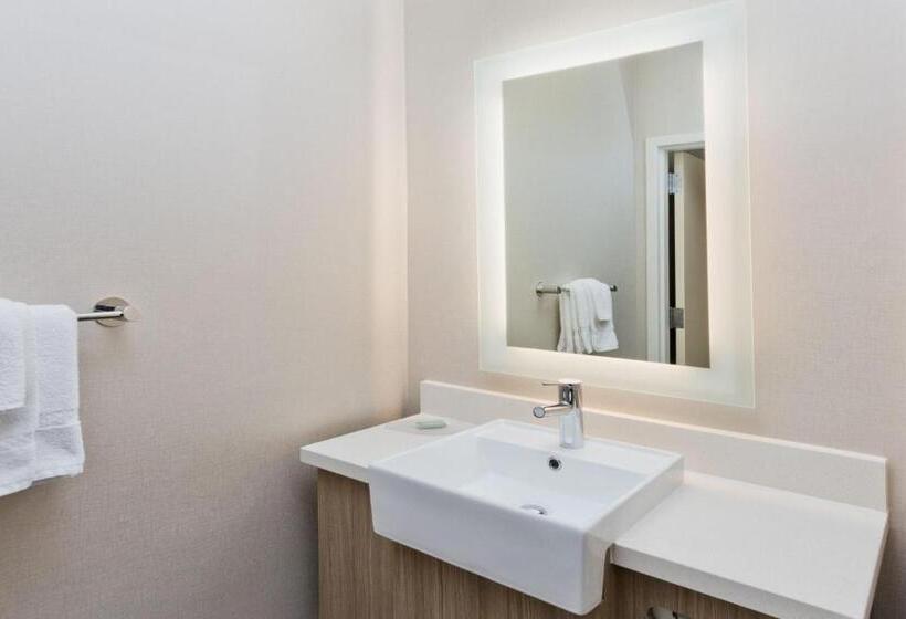 Студио Стандарт Кровать Кинг, Springhill Suites Birmingham Colonnade