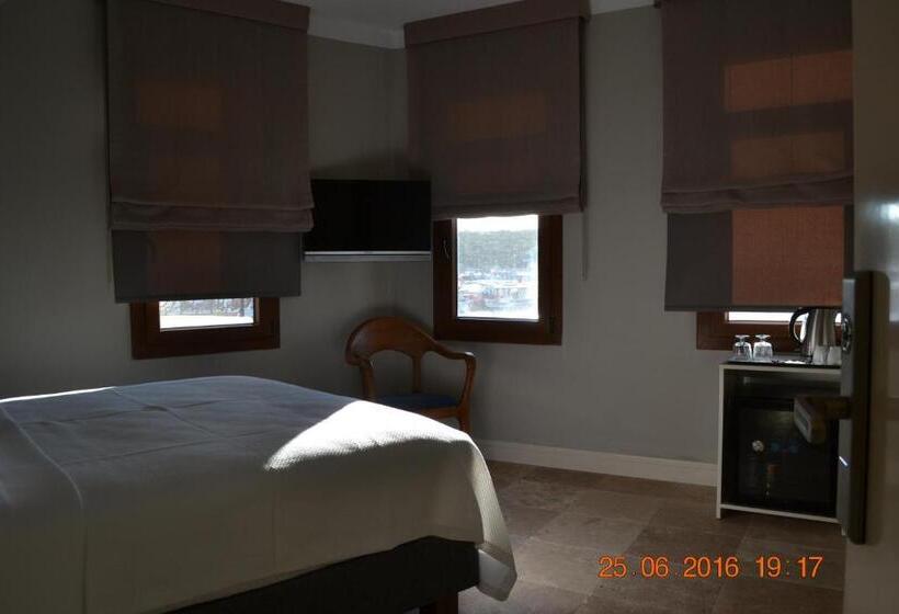 带海景的古典房间, Teos Lodge