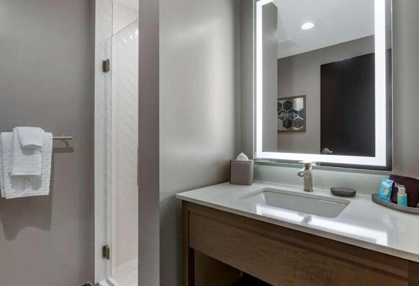 스탠다드 룸 킹사이즈 침대, Vīb Hotel By Best Western Phoenix   Tempe