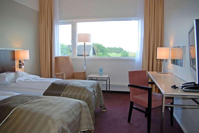 Студия Стандарт, Appart Hôtel Clément Ader