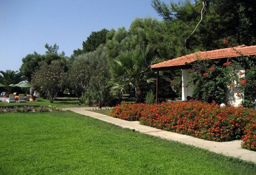 اتاق استاندارد, Denizati Holiday Village