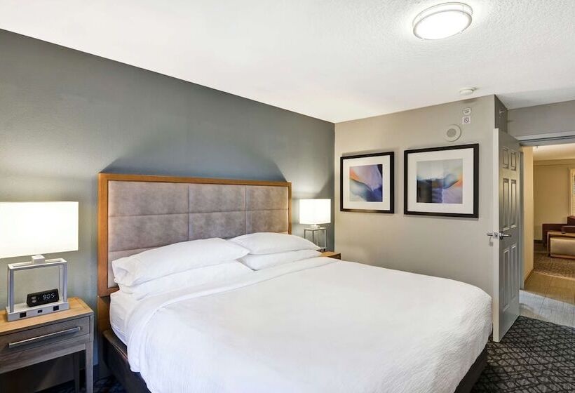 סוויטה, Embassy Suites By Hilton Orlando Downtown