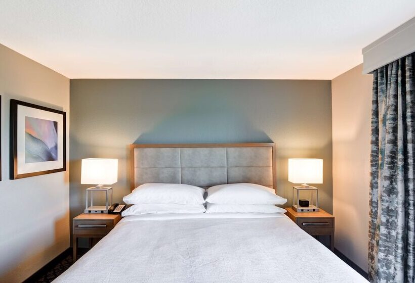 标准间带双人床, Embassy Suites By Hilton Orlando Downtown