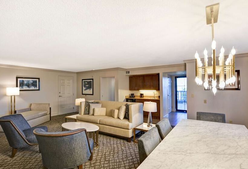 总统套房, Embassy Suites By Hilton Orlando Downtown