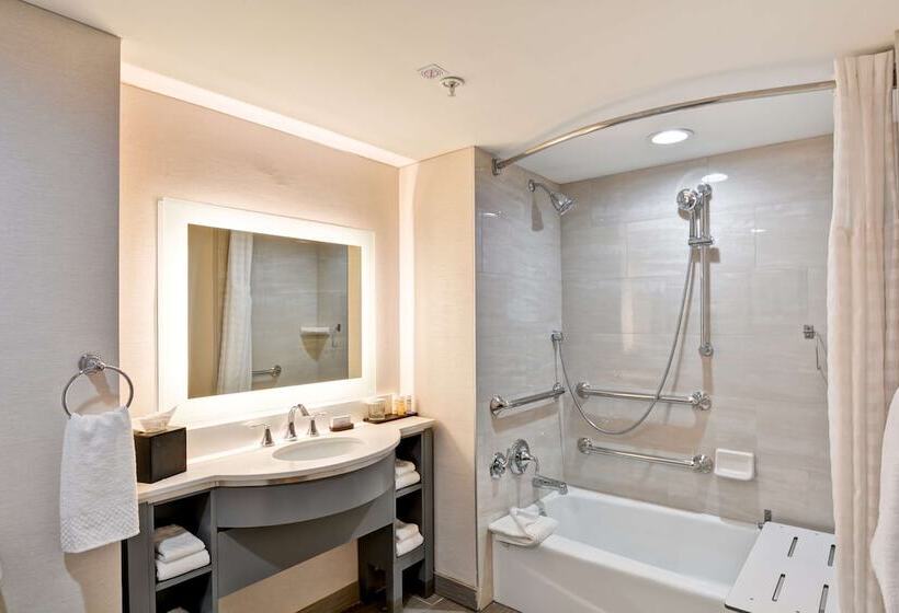 适合残疾人士使用的套间, Embassy Suites By Hilton Orlando Downtown