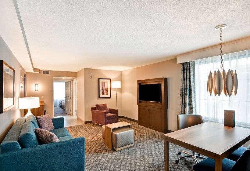 适合残疾人士使用的套间, Embassy Suites By Hilton Orlando Downtown