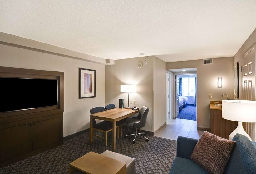 סוויטה מותאמת לאדם עם מוגבלויות, Embassy Suites By Hilton Orlando Downtown