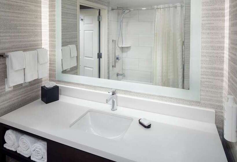 מיטת קינג בסוויטה, Embassy Suites By Hilton Orlando Downtown
