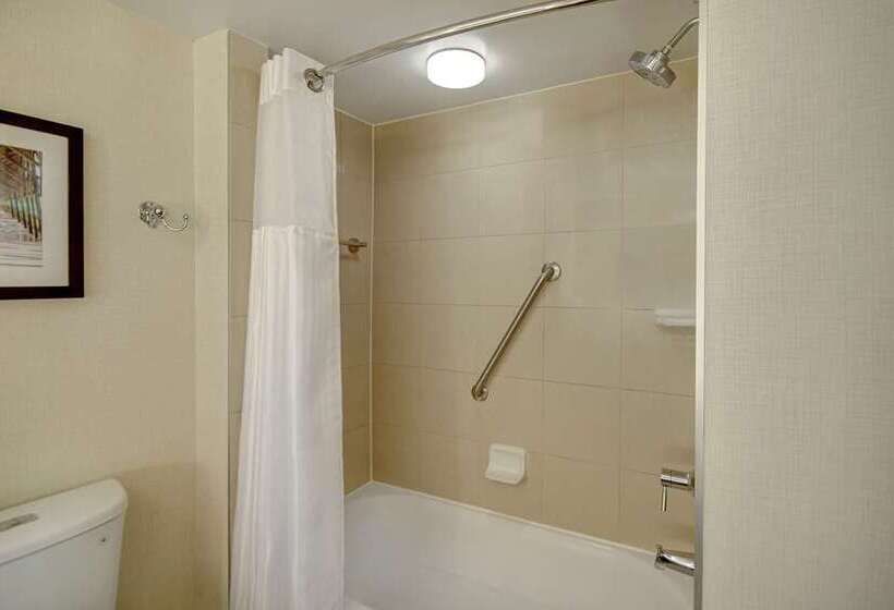 סוויטה, Embassy Suites By Hilton Orlando Downtown