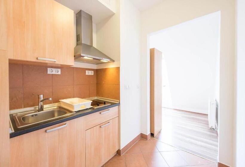 Apartamento Deluxe 1 Dormitório, Mango Apartments
