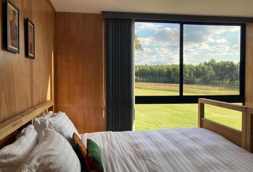 اتاق استاندارد, Campo Arte