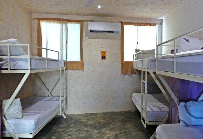 공동 객실, Valladolid 48 Hotel & Hostal