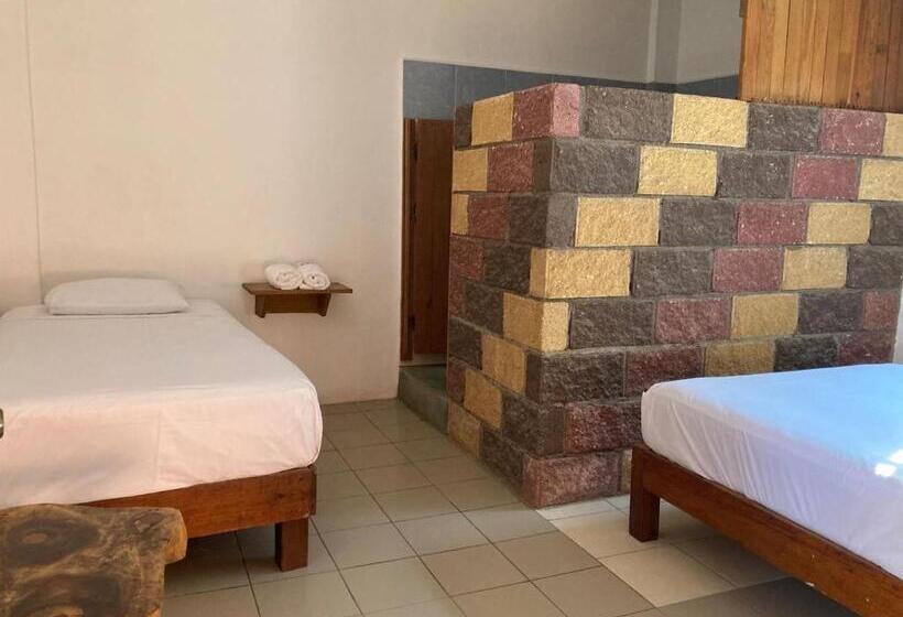 Номер Стандарт, Punta Mar