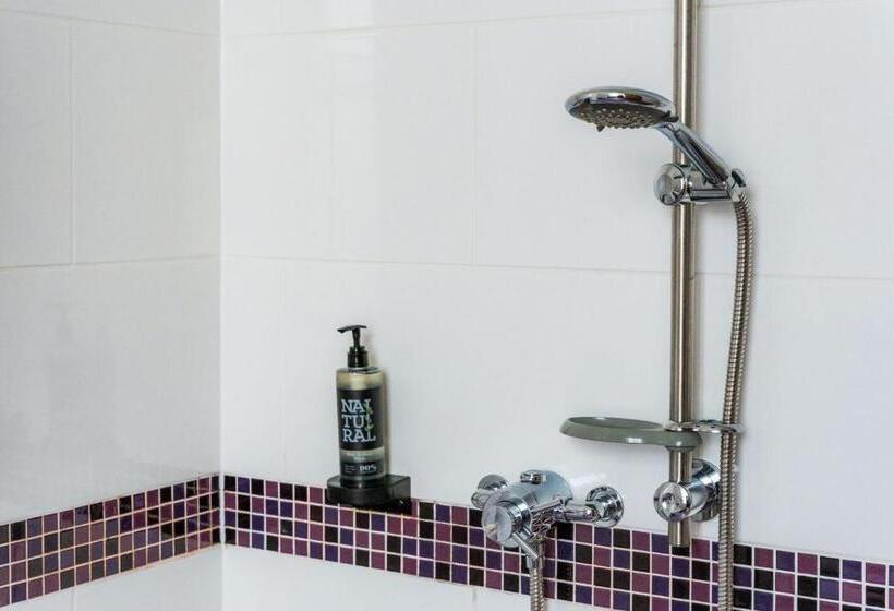 اتاق استاندارد با تخت بزرگ, Esplanade Hotel Llandudno