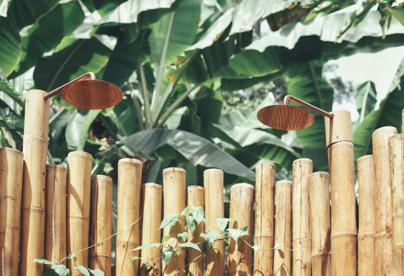 디럭스 스위트 킹 침대, Yay Sustainable