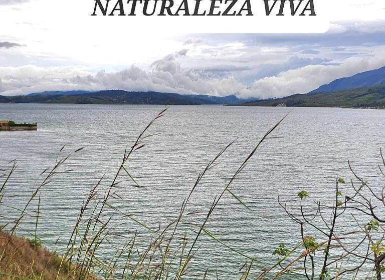 Номер Стандарт, La Hogareña