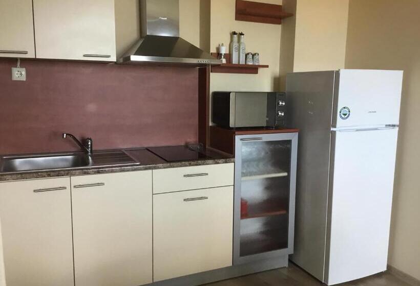 Apartamento 1 Dormitório com Terraço, къща за гости емона,обзор