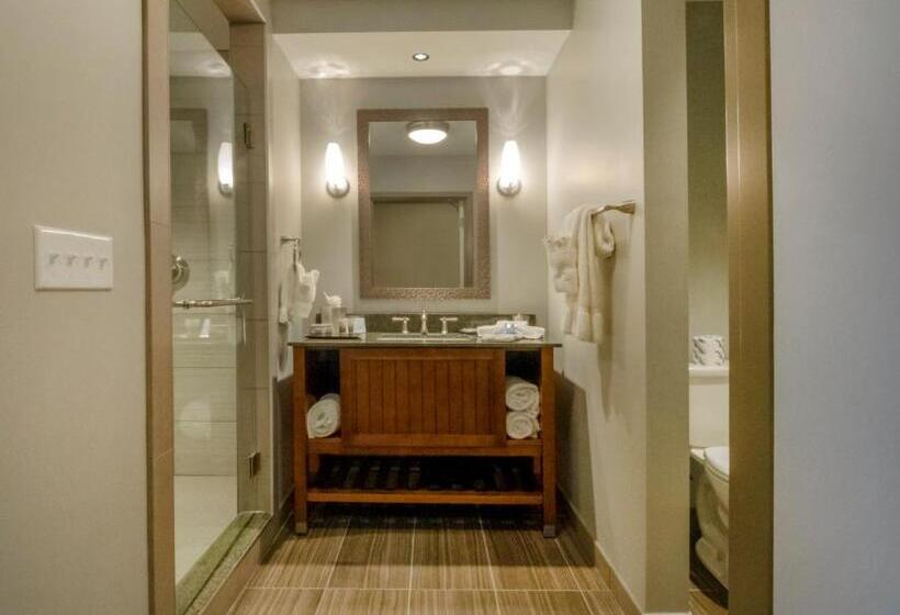 Номер Стандарт, Chautauqua Harbor Hotel   Jamestown
