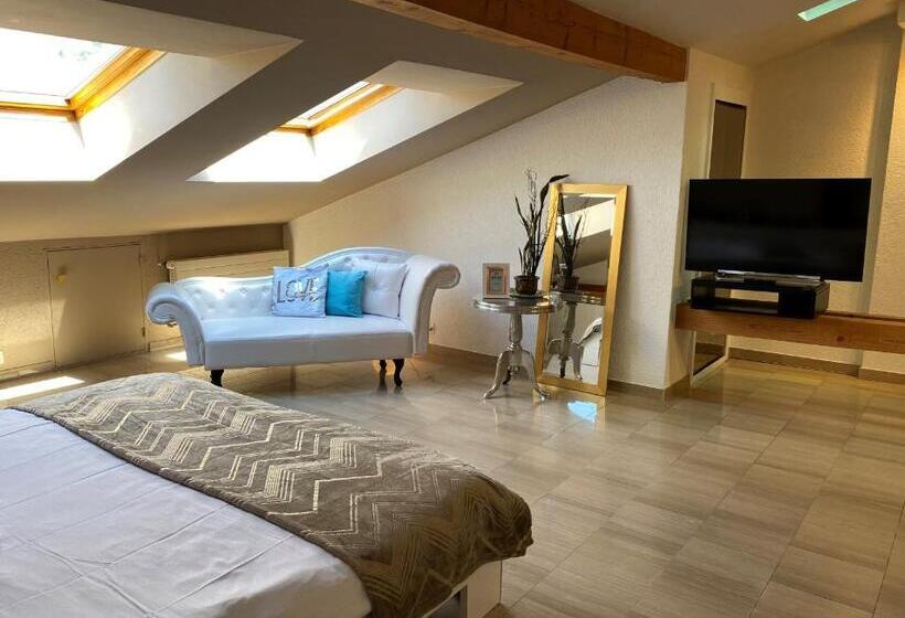Студия Superior, Apart Hôtel Pont De Thielle