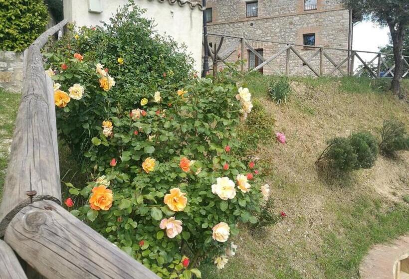 스탠다드 룸, Camera Matrimonialedoppia Con Balcone Vista Piscina