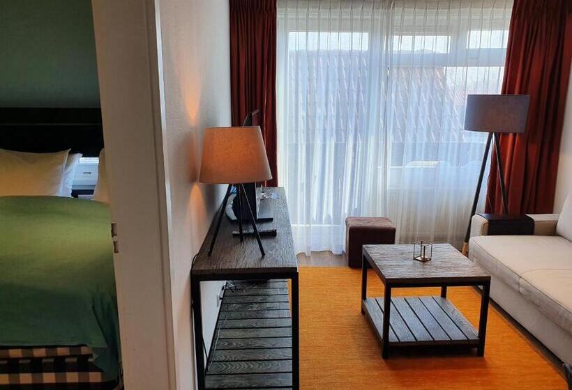 Апартаменты 1 Спальня, Badhotel Bruin