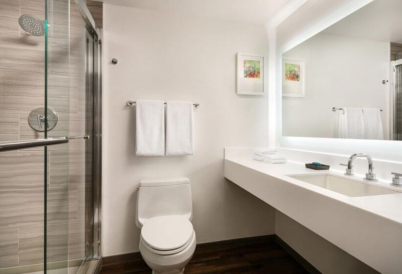 Standard Room, Aloft Mountain View