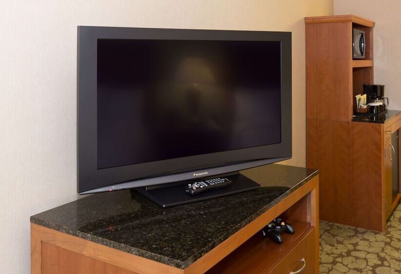Номер Стандарт 2 Двуспальные Кровати, Hilton Garden Inn Buffalo Airport