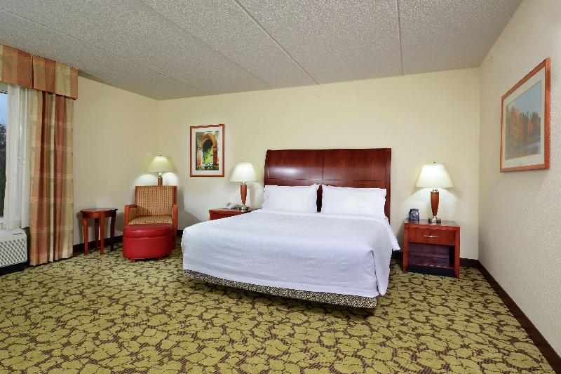 חדר סטנדרט עם מיטת קינג, Hilton Garden Inn Raleigh Capital Blvd I540