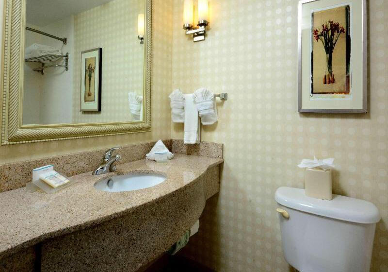 Standard Værelse King Size Seng, Hilton Garden Inn Raleigh Capital Blvd I540