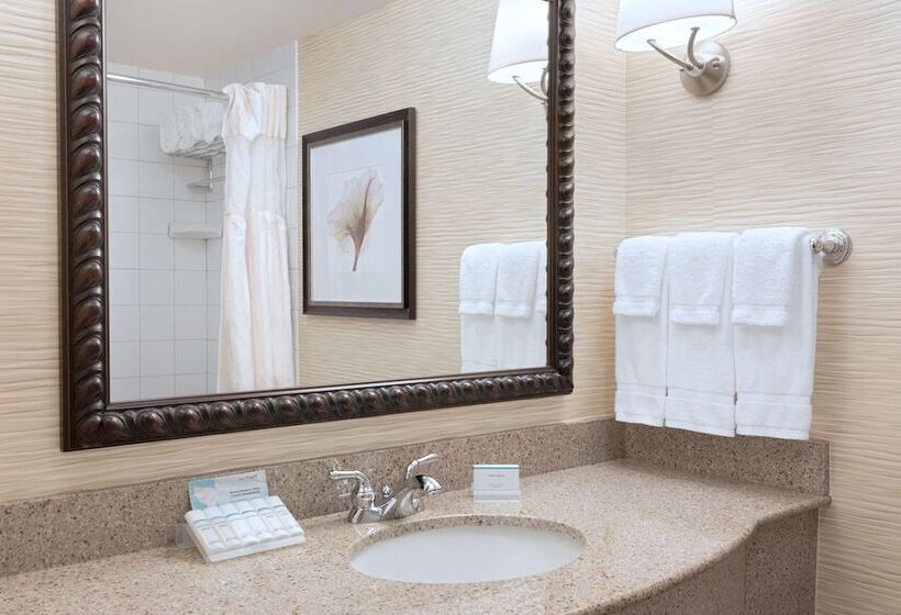 Люкс, Hilton Garden Inn Tuscaloosa